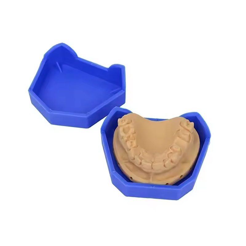 Base de modèle dentaire en plâ - Model Kit Tool Set avis et prix