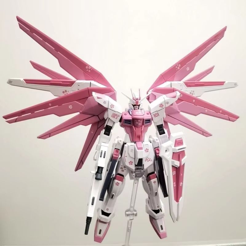 JMS HG 1/144 ZY-06 Freedom Ass - Gundam Model Mg avis et prix